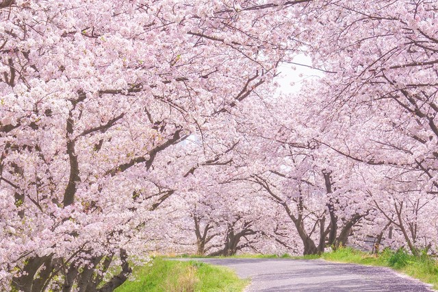 ※画像はイメージです(kasa／stock.adobe.com)