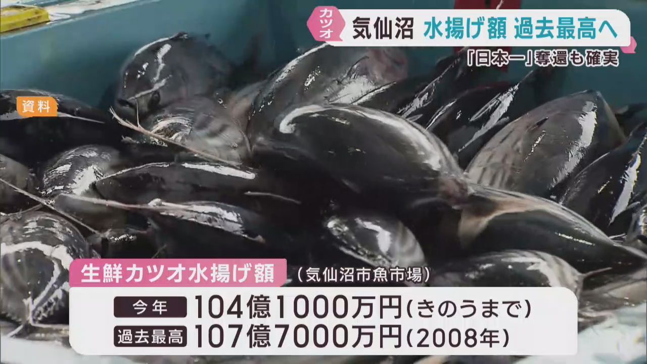 生鮮カツオ水揚げ額の記録更新と水揚げ量の日本一奪還が確実に　宮城・気仙沼市魚市場