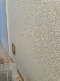 脱走の形跡…鋭いハサミの跡が残る