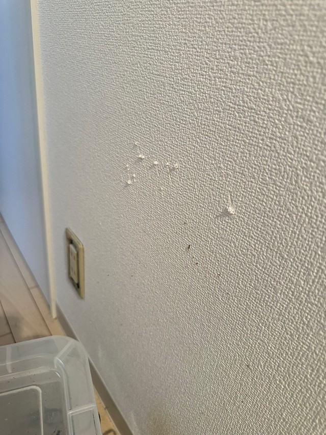 脱走の形跡…鋭いハサミの跡が残る