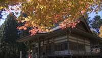雲辺寺　あじさいデザインの「香る御朱印」を授与　