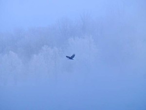 「同性婚も選択的夫婦別姓も関係ない」そんな私の意識が変わるまで