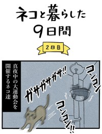 【漫画】『ネコと暮らした9日間』29（イゴカオリさん提供）