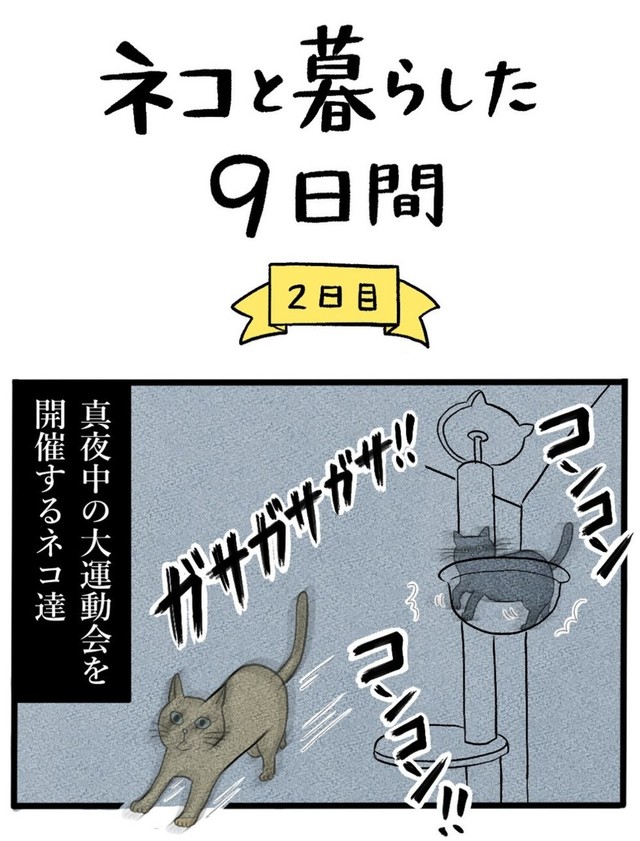【漫画】『ネコと暮らした9日間』29（イゴカオリさん提供）