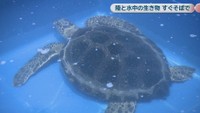 いきものワールド in コンベックス岡山