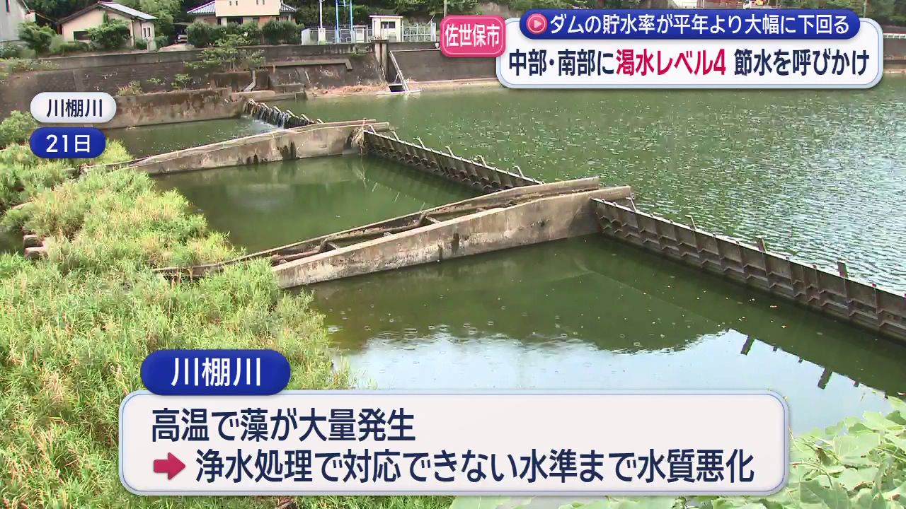 佐世保 市 貯水 率
