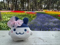 リボンをつけるなど、行く場所に合わせて、みみっちの装いも変えているそう／ほしこ@たまごっち垢さん（@hsk_gotch）提供