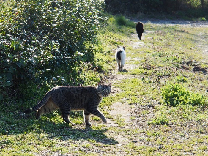 里山の光の中で「いのち」が輝き、巡る