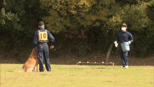 5枚の布を嗅ぎ分けろ！警察犬目指し競い合う「嘱託警察犬の選考競技会」　香川県警
