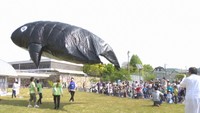 太陽の熱で約7mの「クジラ」が空へ　子どもたちが科学を体験　岡山市