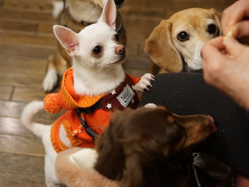 おやつに全集中