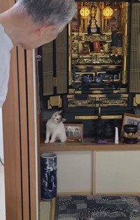 物陰からのぞく父の目線の先には…（松屋夏輝さん提供）