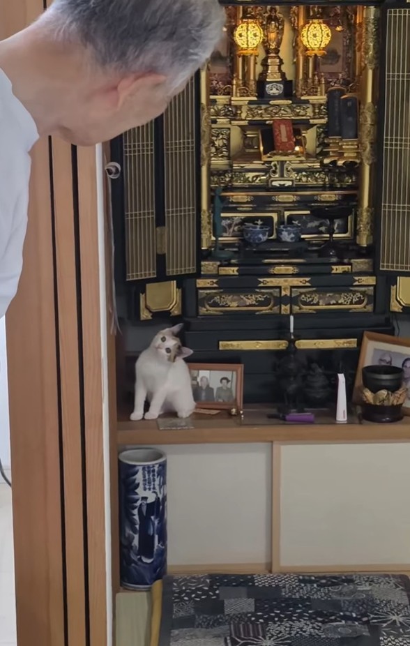 物陰からのぞく父の目線の先には…（松屋夏輝さん提供）