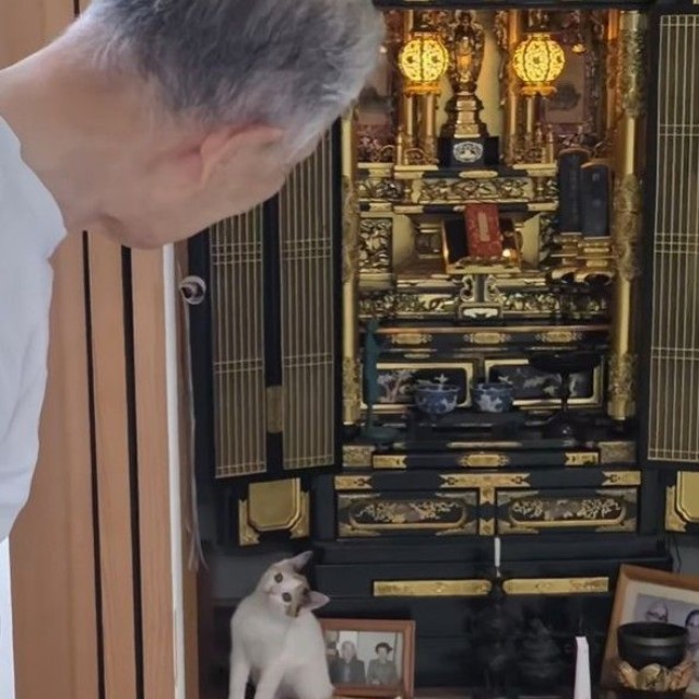 物陰からのぞく父の目線の先には…（松屋夏輝さん提供）