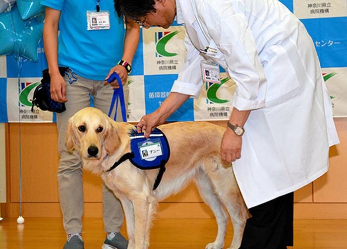 神奈川県立こども医療センターに着任したアニー。センターの山下純正総長（右）から職員証が付与された