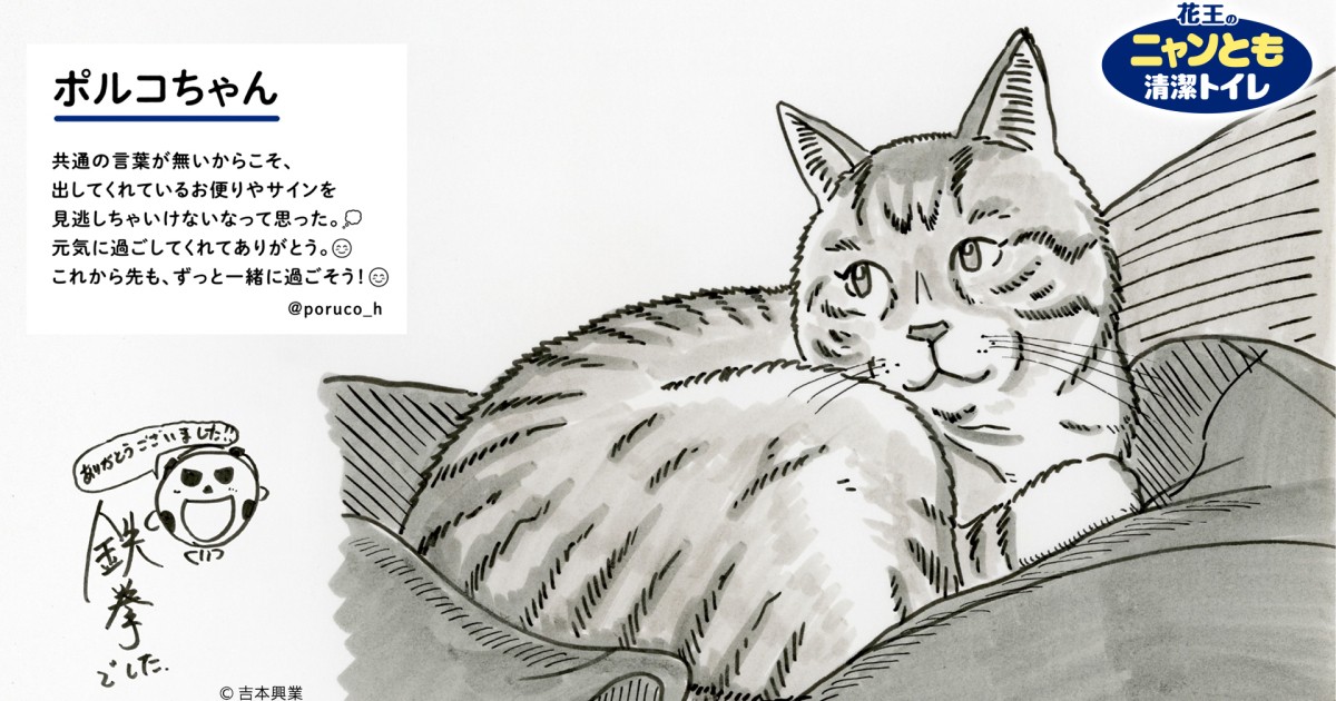 鉄拳さんがTwitter投稿の猫ちゃんをイラストに 保護猫活動の応援キャンペーン | 犬・猫との幸せな暮らしのためのペット情報サイト「sippo」 鉄拳さんがTwitter投稿の猫ちゃんをイラストに 保護猫活動の応援キャンペーン | 犬・猫との幸せな暮らしのためのペット情報サイト「sippo」