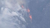 岡山市の山火事の現場　24日午後4時半ごろ