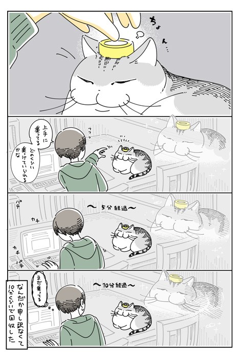 【漫画】「頭に何か乗せたい」