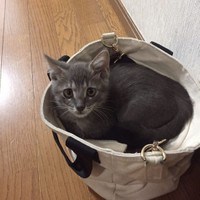 袋の中が大好き