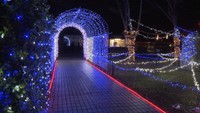 四国学院大学のクリスマスイルミネーション