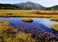群馬県 片品村（提供：片品村 むらづくり観光課）