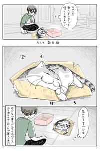 【漫画】「ボロボロダンボール」（提供：キュルZさん）
