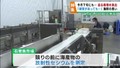 石巻魚市場の取り組み