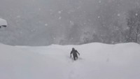 深い雪の中を進んで行きます（動画よりキャプチャ、画像提供：田中一馬 但馬牛農家の精肉店・田中畜産さん）