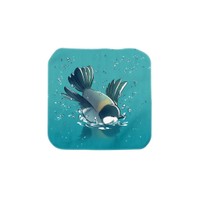 水浴びシジュウカラ（提供：サッサさん）