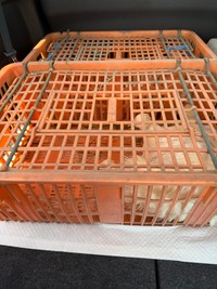 偶然通りかかった地元の農家の人がケージを持参し、次々と捕まえてくれたという（桃丸さん提供）