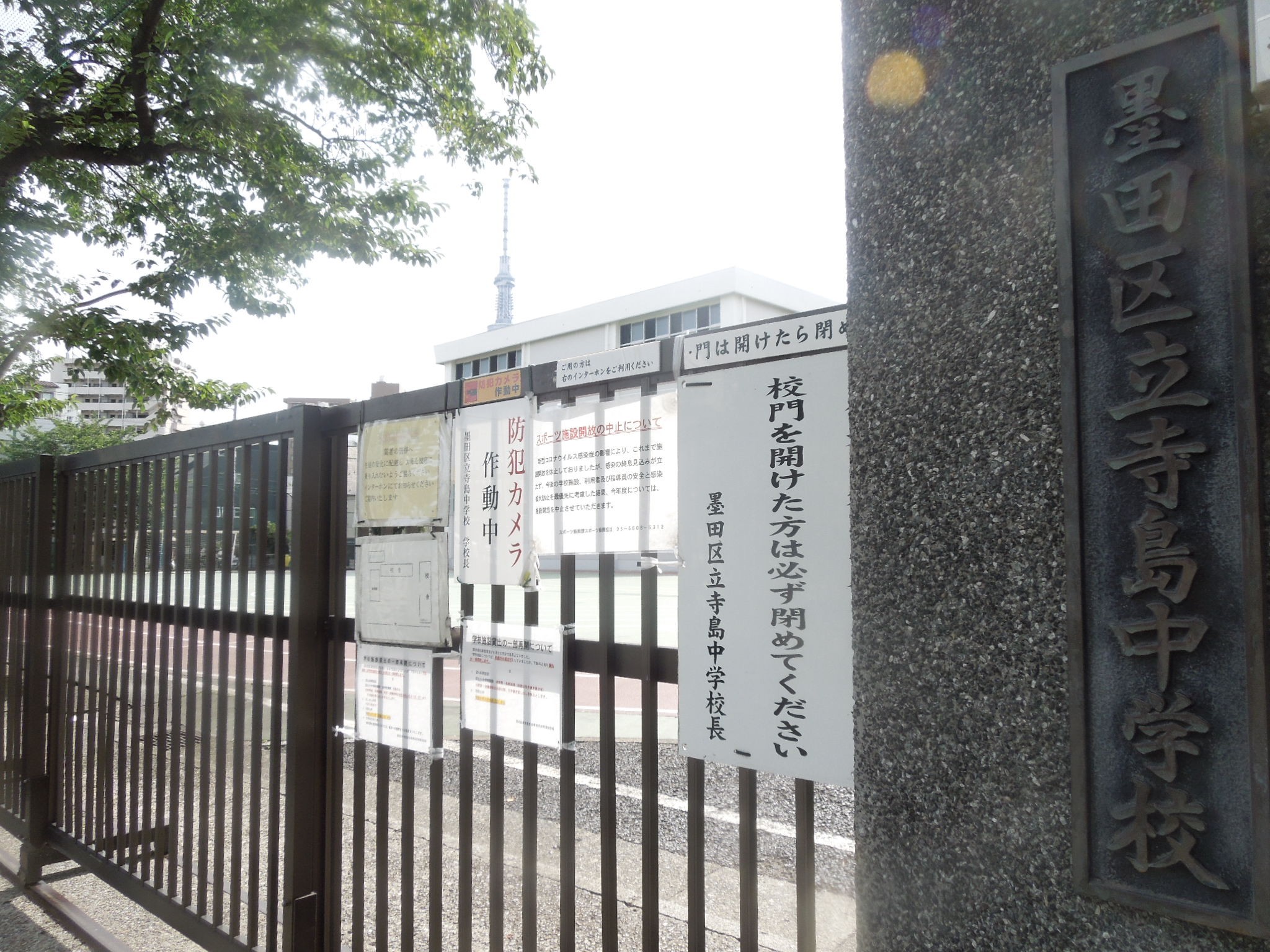 簡単! 時短! 理科授業の効率アップ術 簡単！時短！理科授業の効率アップ術 – 東洋館出版社