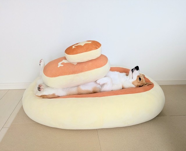 まったり…（画像提供：こまち@彩さん）