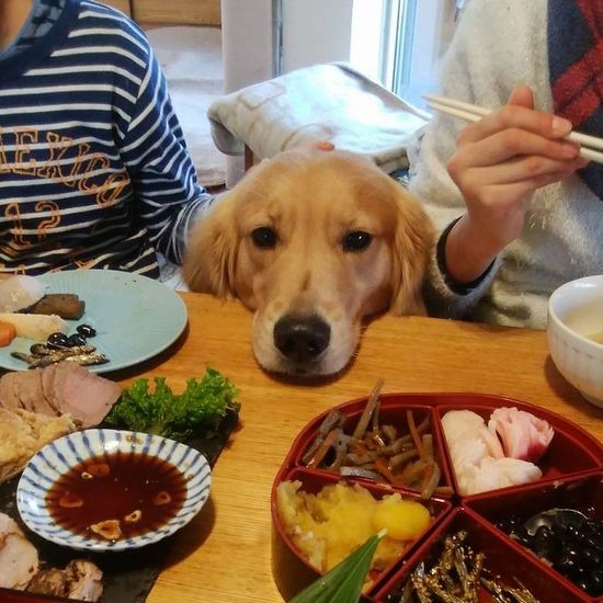 「食卓は賑やか」（大澤さん提供）