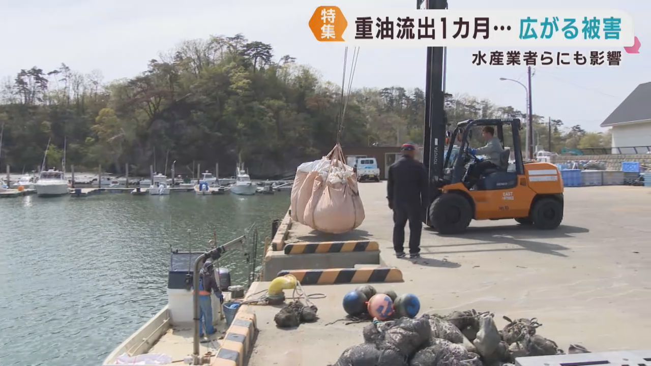 巡視船から重油が流出　養殖業者や水産加工業者など影響が広がる