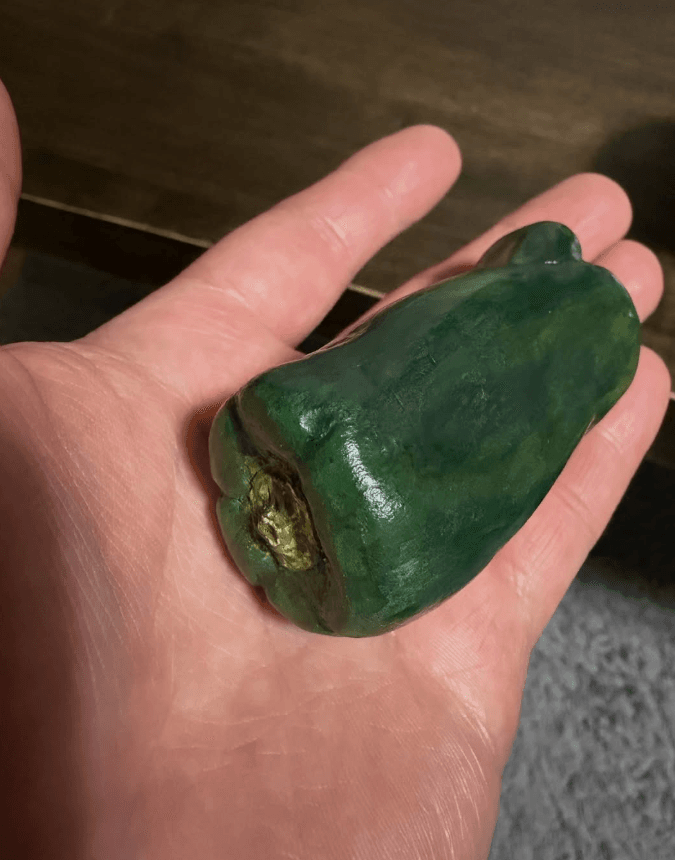 「料理しそうになった」あまりの完成度に驚愕