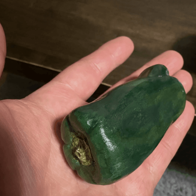 「料理しそうになった」あまりの完成度に驚愕