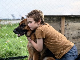 空港で飼い主を待ち続けたロシアの忠犬　実話を映画化した『ハチとパルマの物語』公開