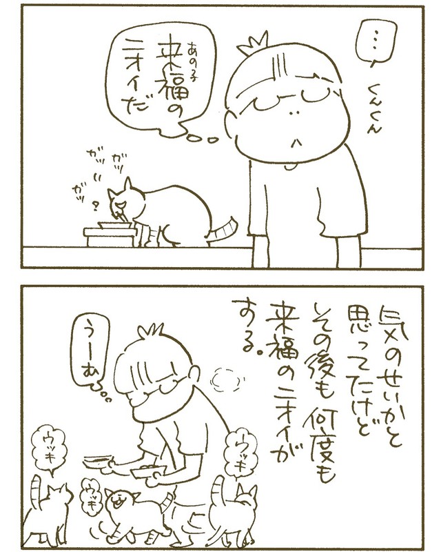 【漫画】『来福』6（くるねこ大和さん提供）