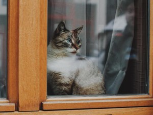 コロナで先が見えない「自粛生活」。2度目の結婚延期で気づいたこと