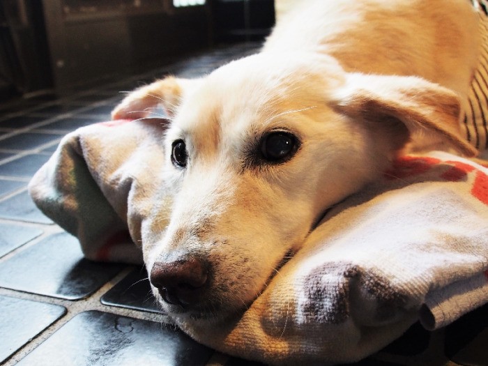 余命宣告されても、目の中には星が宿っていた
