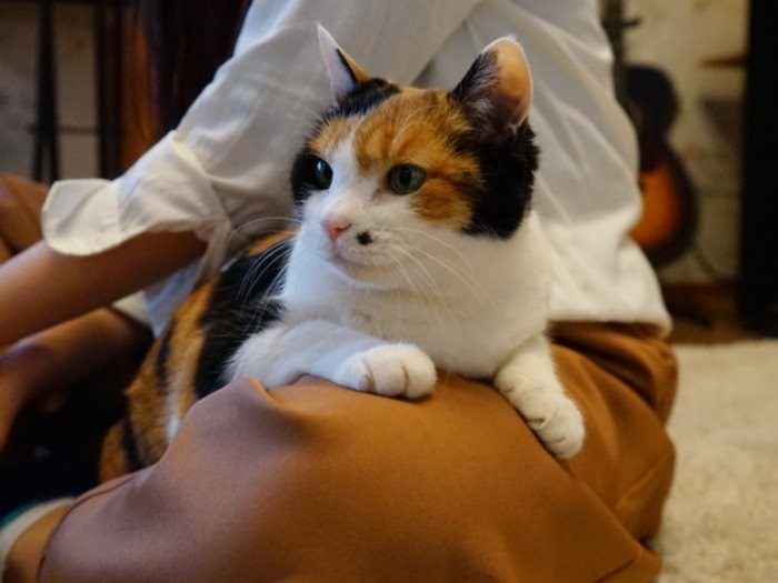 茜さんの膝の上で