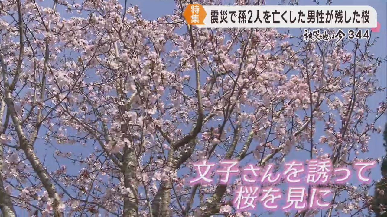 被災地に再び人を　男性が植え続けた桜の下に仲間が集う　宮城・石巻市釜谷地区