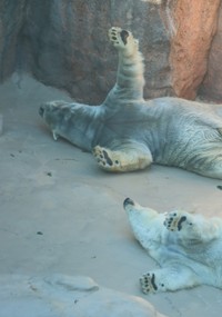 そろそろ起きますか…