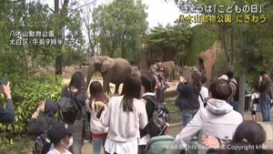 こどもの日は小中学生の入場料が無料に　仙台・太白区　八木山動物公園にぎわう