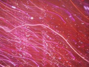 長く続く恋愛を神聖化しすぎ！安定した関係、まだいらなくない？