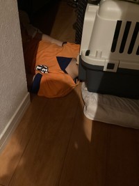 普段から波乱万丈！（DNZKさん提供）