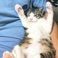 お父さん大好き！