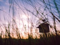 冴えない一家としか思っていなかった。テルの話を聞いてください