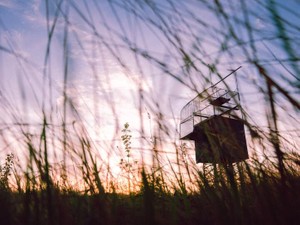 冴えない一家としか思っていなかった。テルの話を聞いてください