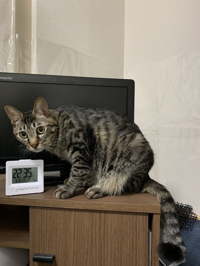 イタズラ見つかっちゃった…？